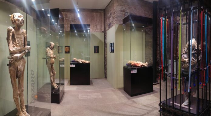 Exposición “Muestra de Vida Eterna” registra récord de casi 3 mil visitantes