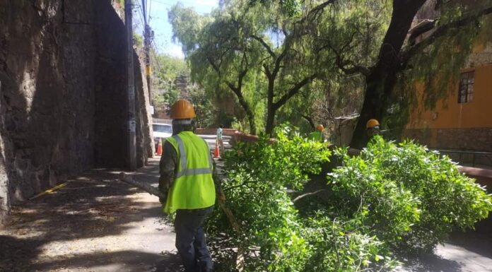 Desarrollan acciones de poda y mantenimiento en San Luisito