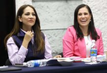 No hay fractura instituconal con Ale ni con León: Libia Dennise