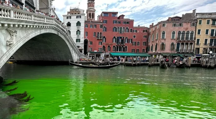 Gran Canal de Venecia se tiñe de verde fosforescente