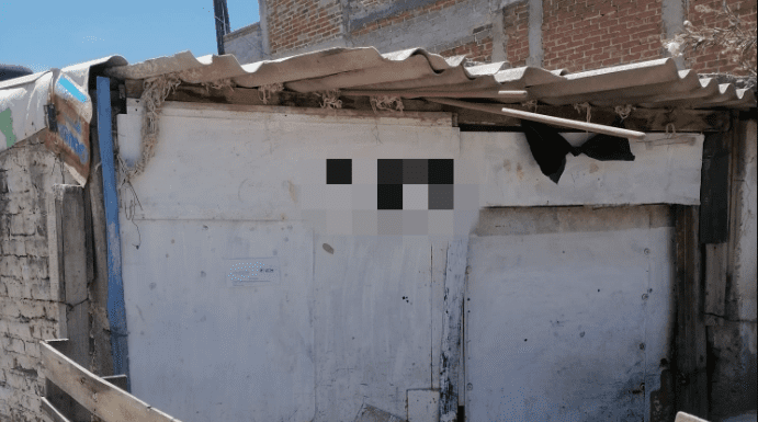 Interponen denuncia ante Ministerio Público por comer perros