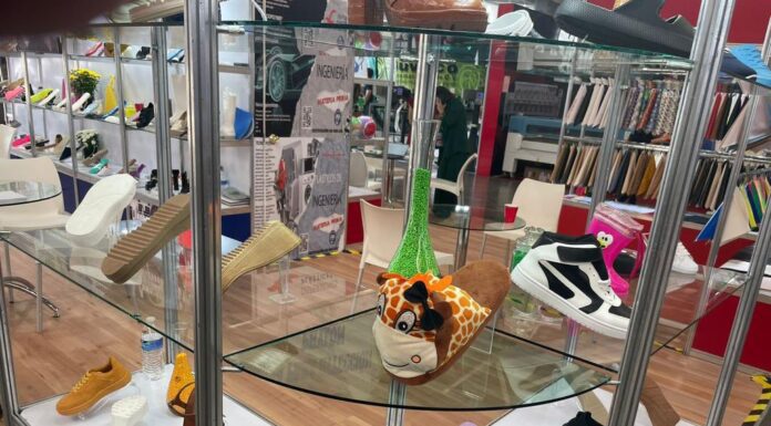 Guanajuato espera cerrar con 5.5 MDD de inversión en primer semestre