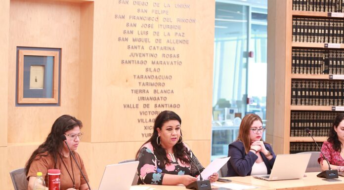 Priodidad para el PAN atención integral a las mujeres: Katya Soto