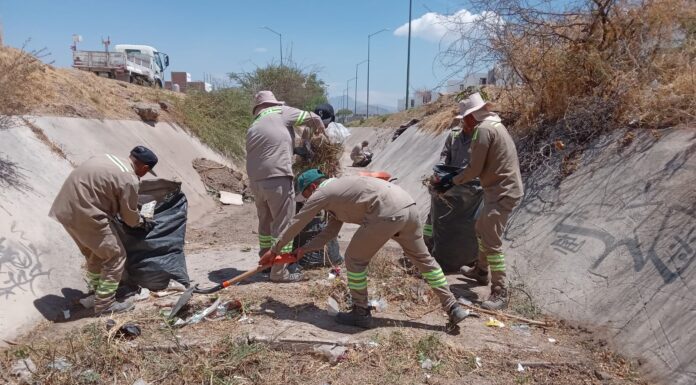 Limpia SAPAL más de 202 kilómetros de arroyos y red sanitaria