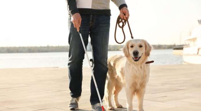 Celebra el Día Internacional del Perro Guía