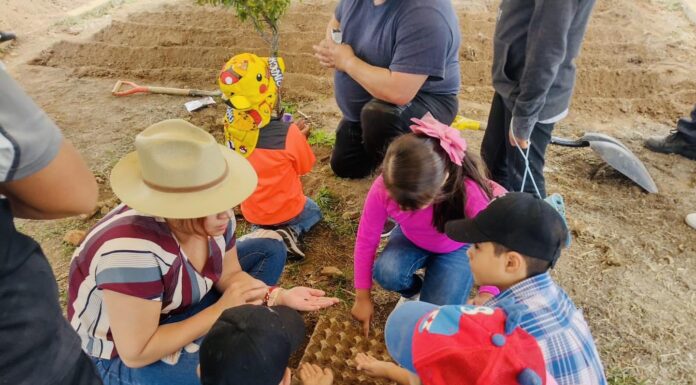 SSG instaura huertos sustentables para promover una mejor alimentación