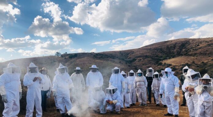 Fortalece Guanajuato actividad apícola en Áreas Naturales Protegidas