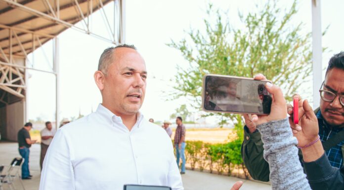 Tenemos que dejar los discursos de las encuestas a modo: Erandi Bermúdez