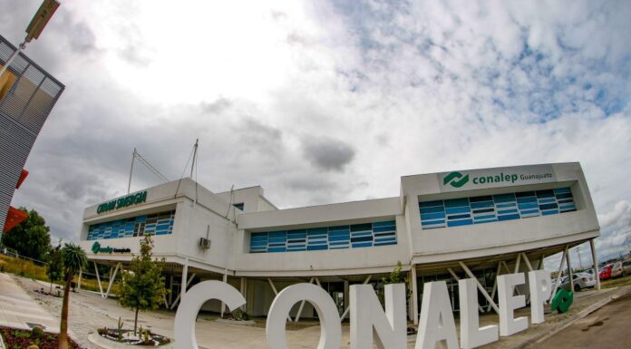 Interviene SEG dos escuelas con plaga de chinches