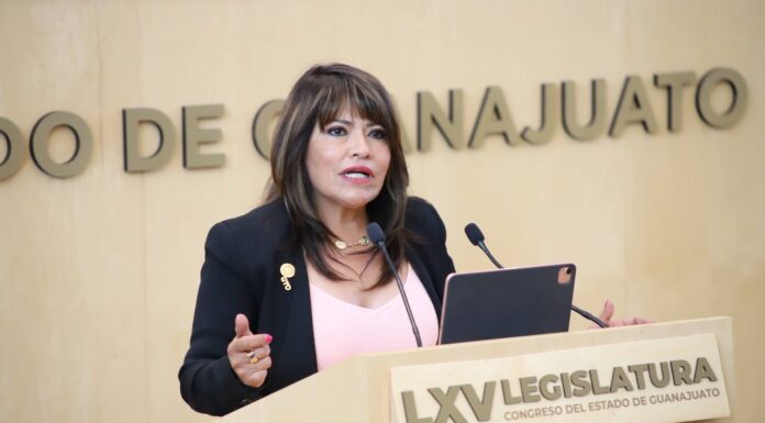 Municipios deben implementar políticas públicas para erradicar violencia contra mujeres: Ruth Tiscareño