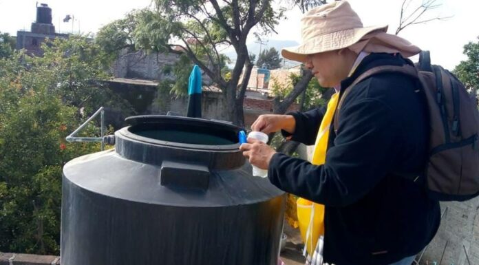 Guanajuato registra el primer caso de dengue autóctono en Acámbaro