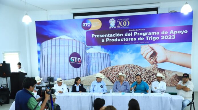 Apoyará Estado a trigueros con nuevo programa; destina $50 MDP
