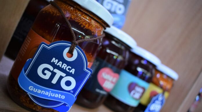 Lanza Marca GTO nuevas herramientas digitales