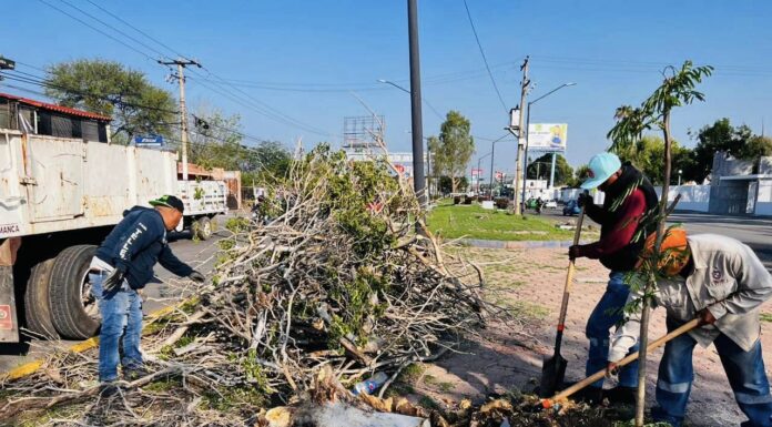 Sociedad y Gobierno actuamos juntos a favor medio ambiente y desarrollo de Salamanca