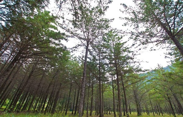 Federación Internacional de Guardaparques reconoce trabajo en Sierra de los Agustinos