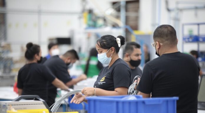 Crecen empleos formales en Guanajuato: IMSS