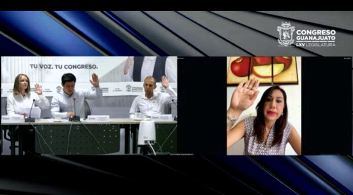 Informan en Comisión resultados de consulta de Diputados PAN sobre participación de grupos vulnerables