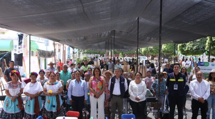 SILAO | Conmemoran Día Nacional del Árbol concientizando a silaoenses sobre su protección