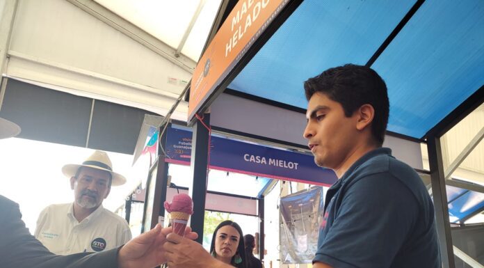 Encuentra los productos Marca GTO en el Festival Vive León Verano 2023