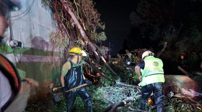 SILAO | Atiende Protección Civil afectaciones menores por lluvias
