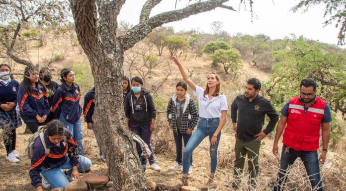 Trabaja Administración sanmiguelense en conservación del medio ambiente