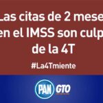 11Carteleras-PAN-y-La4Tmiente