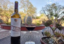 Guanajuato aliado del sector comercio y turismo