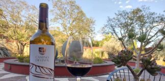 Guanajuato aliado del sector comercio y turismo