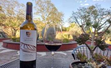 Guanajuato aliado del sector comercio y turismo