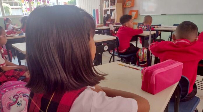 Apenas el 8% de libros se han recibido en Guanajuato