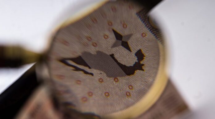 Economía mexicana crecerá más allá de 3% en 2023 Economía mexicana crecerá más allá de 3% en 2023