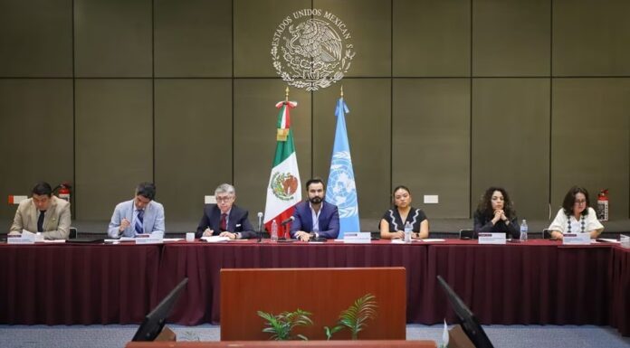 México refuta observaciones del Grupo de Trabajo de la ONU sobre la Detención Arbitraria México refuta observaciones del Grupo de Trabajo de la ONU sobre la Detención Arbitraria