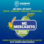 mimercadido-gto-platino-news