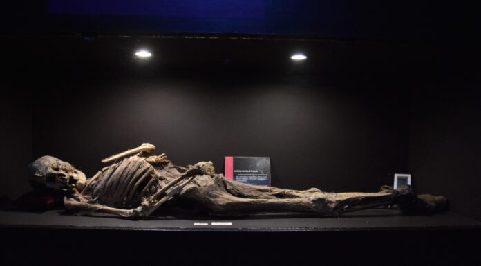 En un mes recibe Museo de las Momias 31 mil visitantes