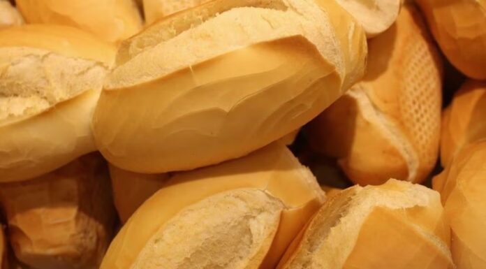 ¿Bolillo para el susto? UNAM responde si es recomendable comerlo tras sismo ¿Bolillo para el susto? UNAM responde si es recomendable comerlo tras sismo