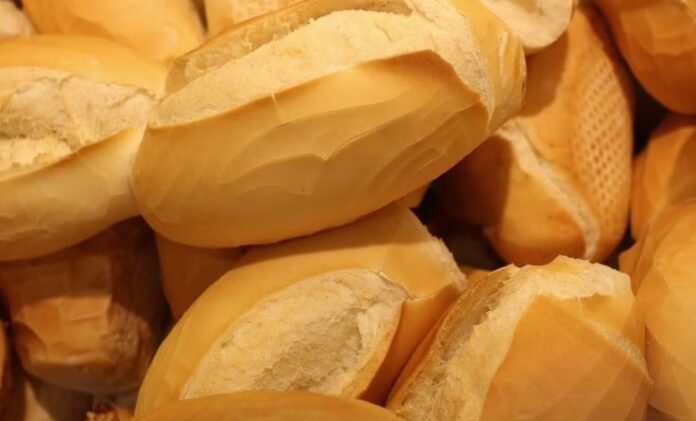 ¿Bolillo para el susto? UNAM responde si es recomendable comerlo tras sismo