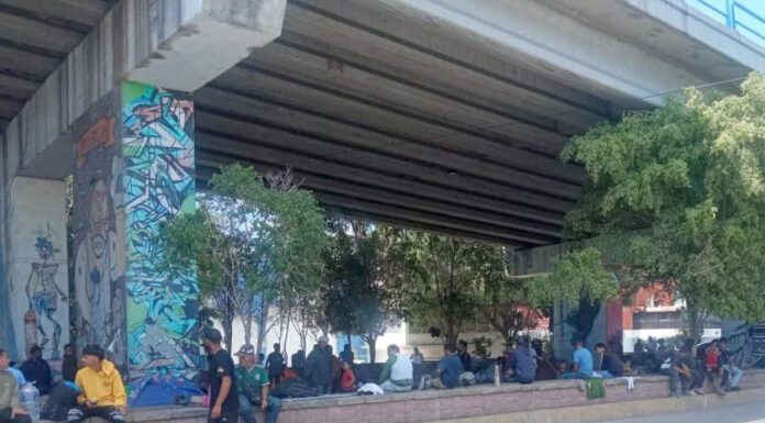 Ven migrantes opción de empleo temporal en Guanajuato: CMIC