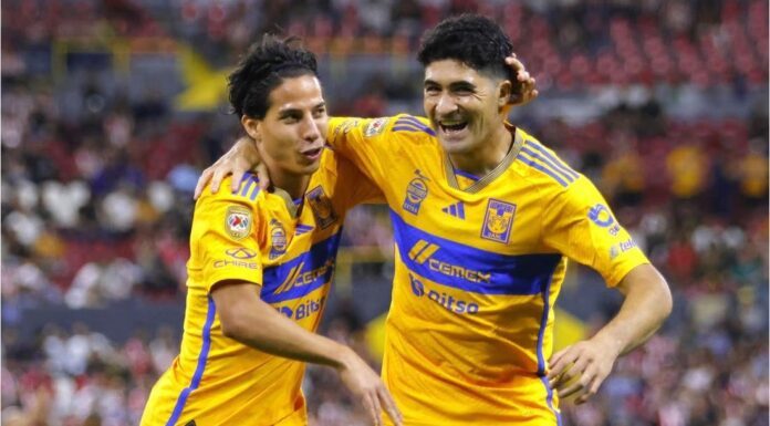 Tigres golea a Guadalajara en su regreso al Estadio Jalisco Tigres golea a Guadalajara en su regreso al Estadio Jalisco