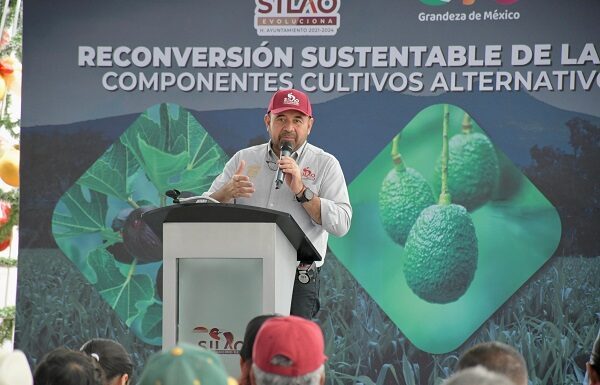 Se diversifica el campo de Silao con cultivos alternativos