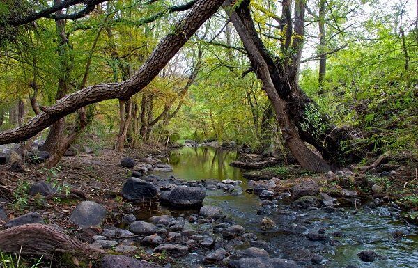 ¿Ya visitaste alguna de las Áreas Naturales Protegidas de Guanajuato?