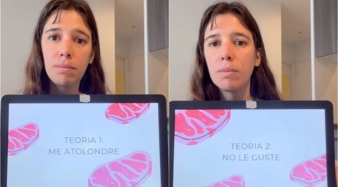 TikTok: Joven hace presentación en PowerPoint para explicar por qué la rechazó el chico que le gusta TikTok: Joven hace presentación en PowerPoint para explicar por qué la rechazó el chico que le gusta