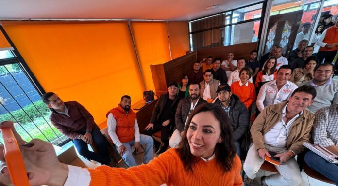 Guanajuato vive una crisis de gobernabilidad, dice Yulma Rocha