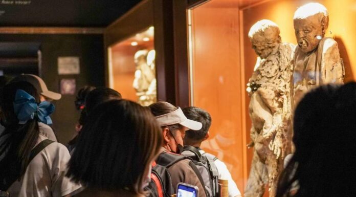 Ingresan 42 millones de pesos a la capital por Museo de las Momias