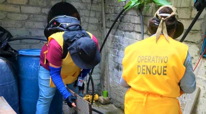 Afina secretaría de salud plan estatal contra mosquitos
