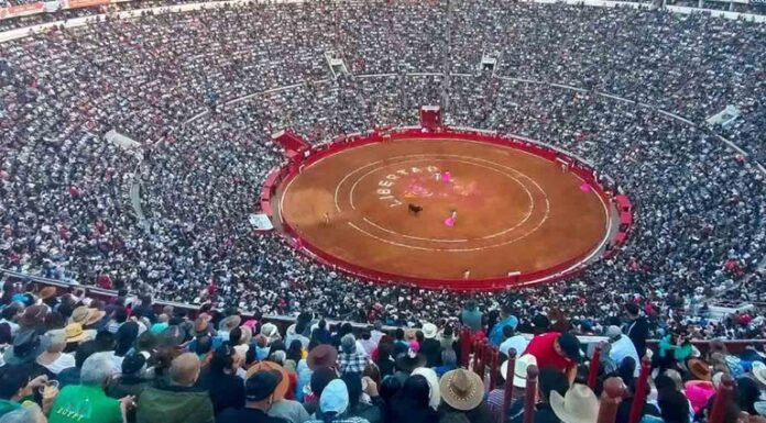 Prohíben de nuevo las corridas de Toros en la CDMX