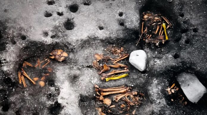 Bacteria que causa sífilis existía hace 2 mil años en Brasil