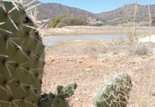 Guanajuato tiene más opciones para llevar agua a León