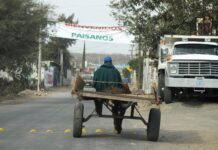 Guanajuato y Michoacán, principales receptores de remesas