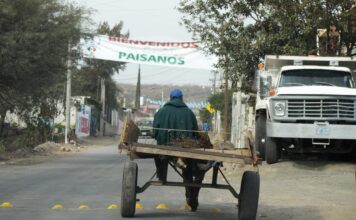 Guanajuato y Michoacán, principales receptores de remesas