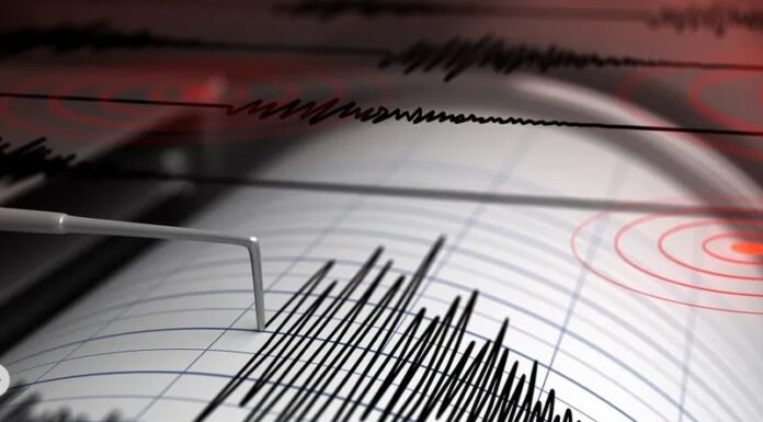 Se registran dos microsismos en CDMX; no hay afectaciones